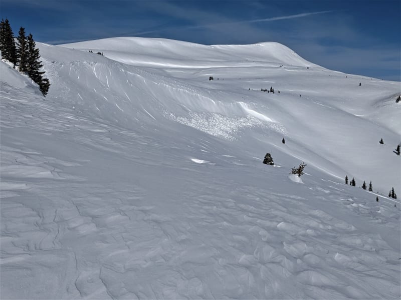 Observation photo 2