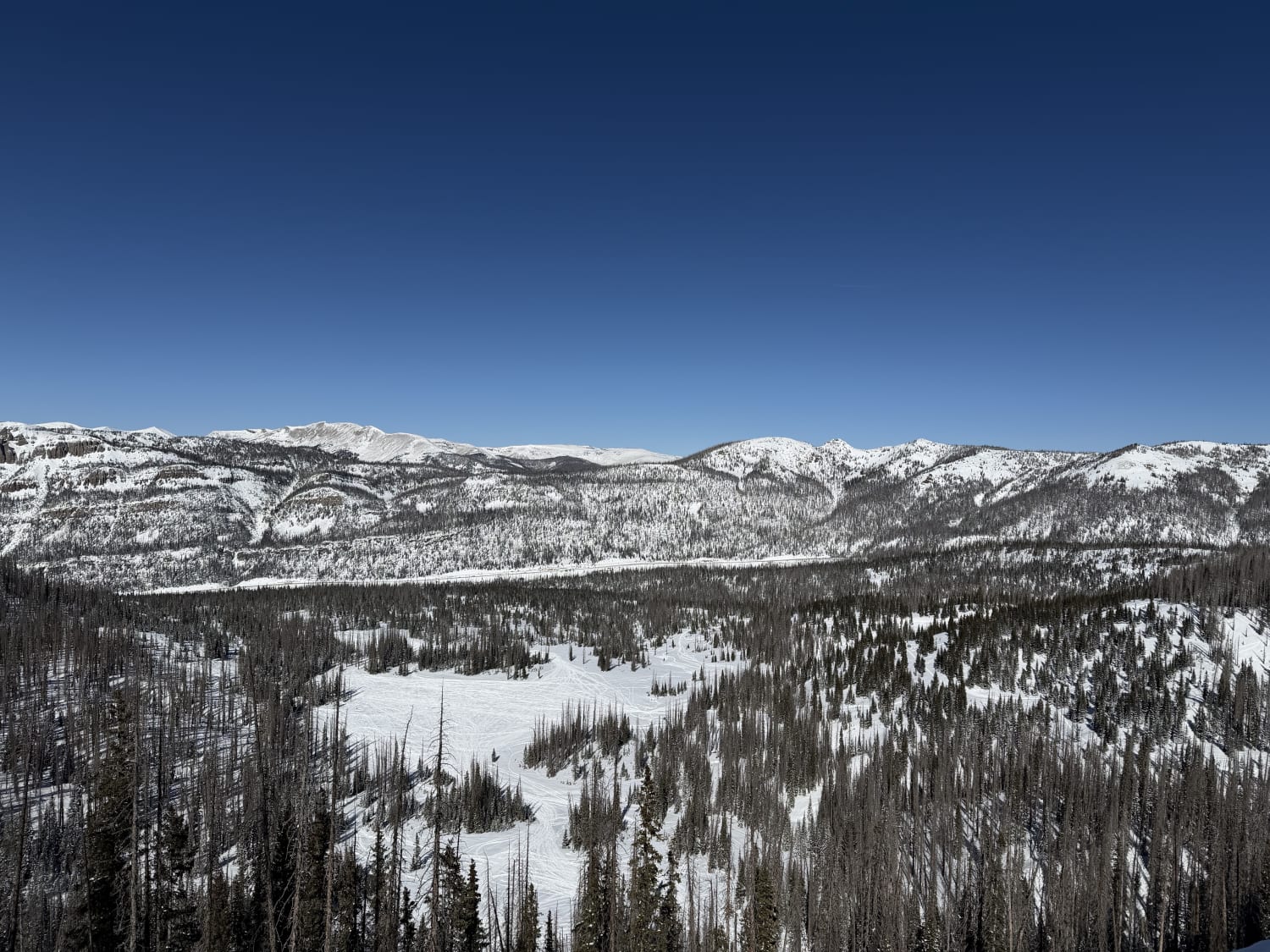 Observation photo