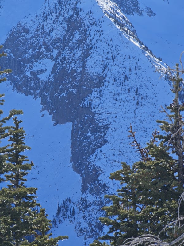 Observation photo 11
