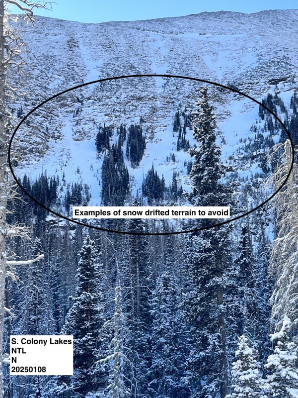 Observation photo 9