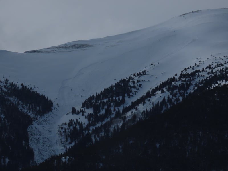 Observation photo 2