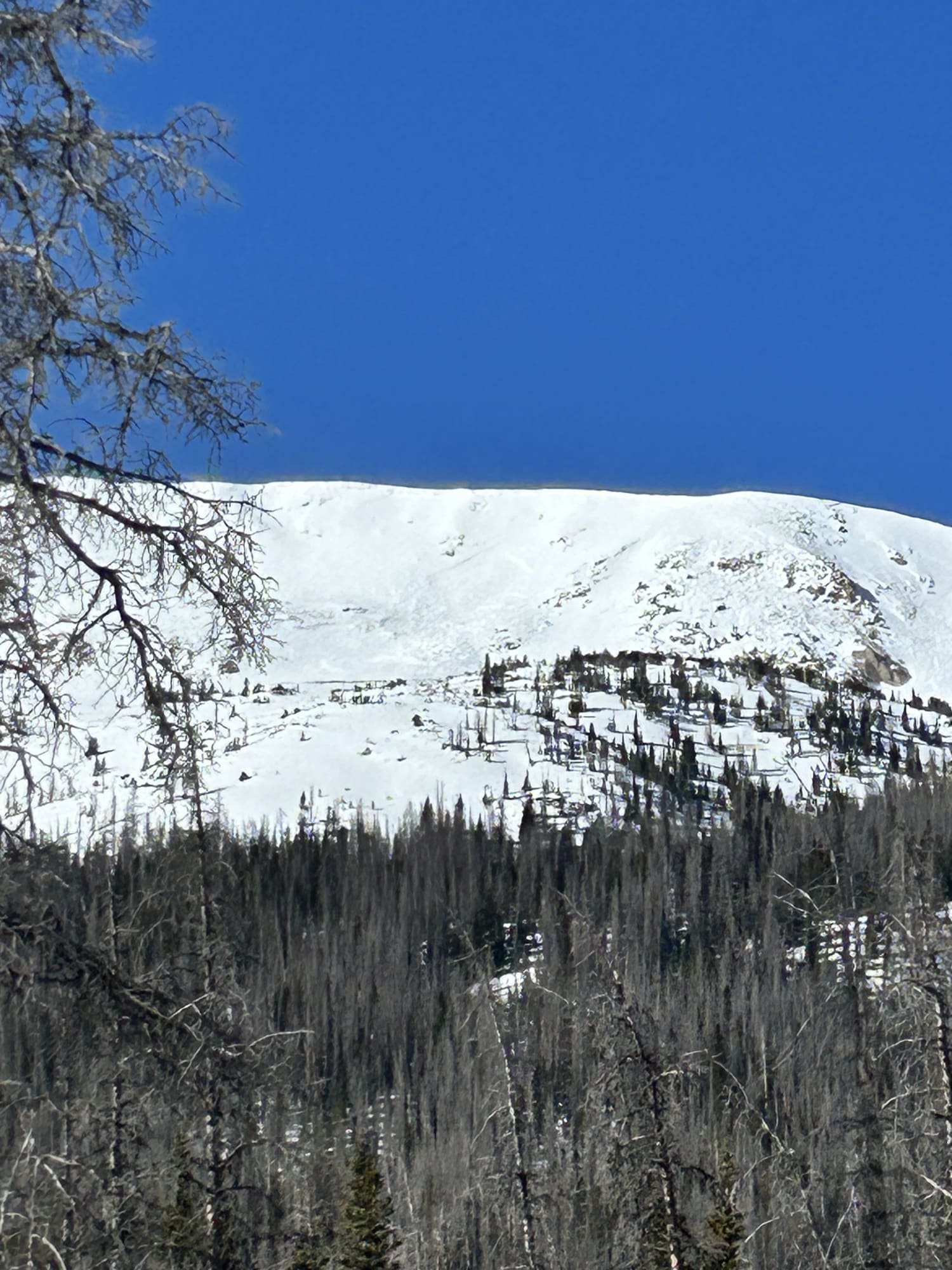 Observation photo