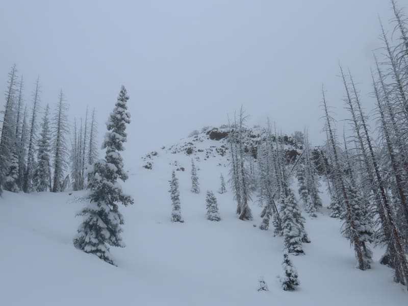 Observation photo 2