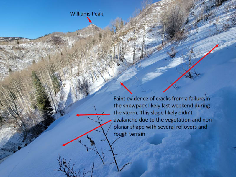 Observation photo 2