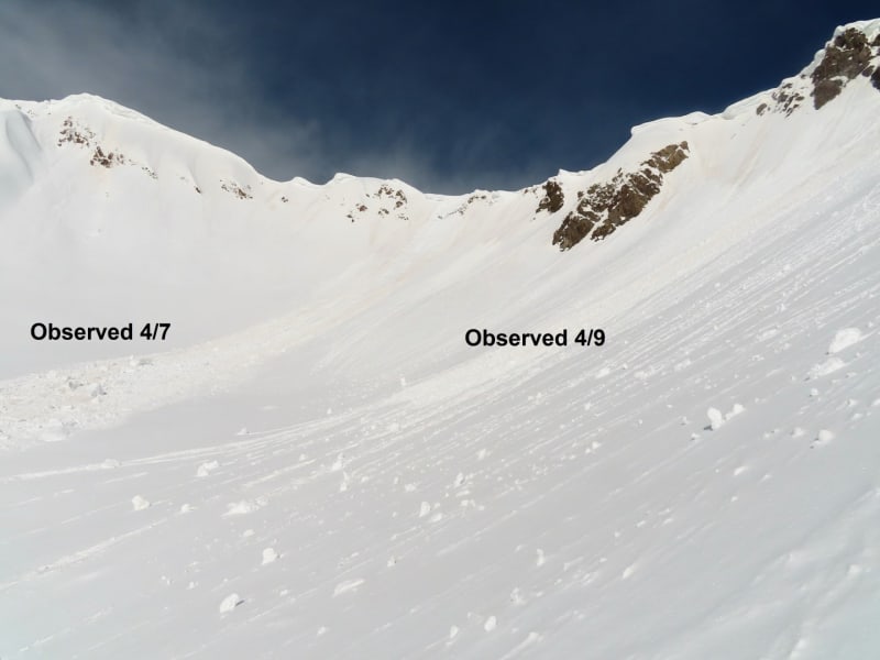 Observation photo 1