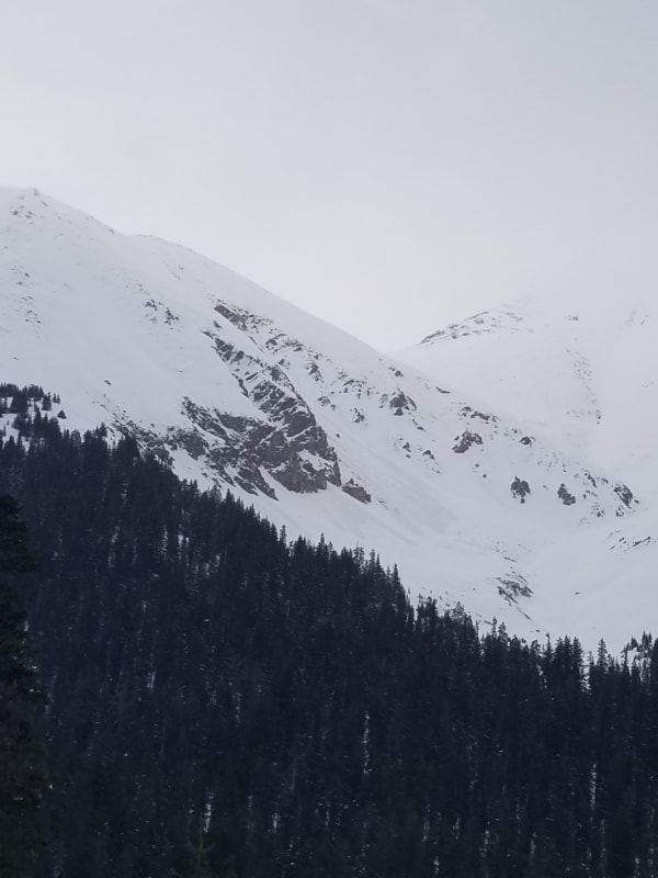 Observation photo 2