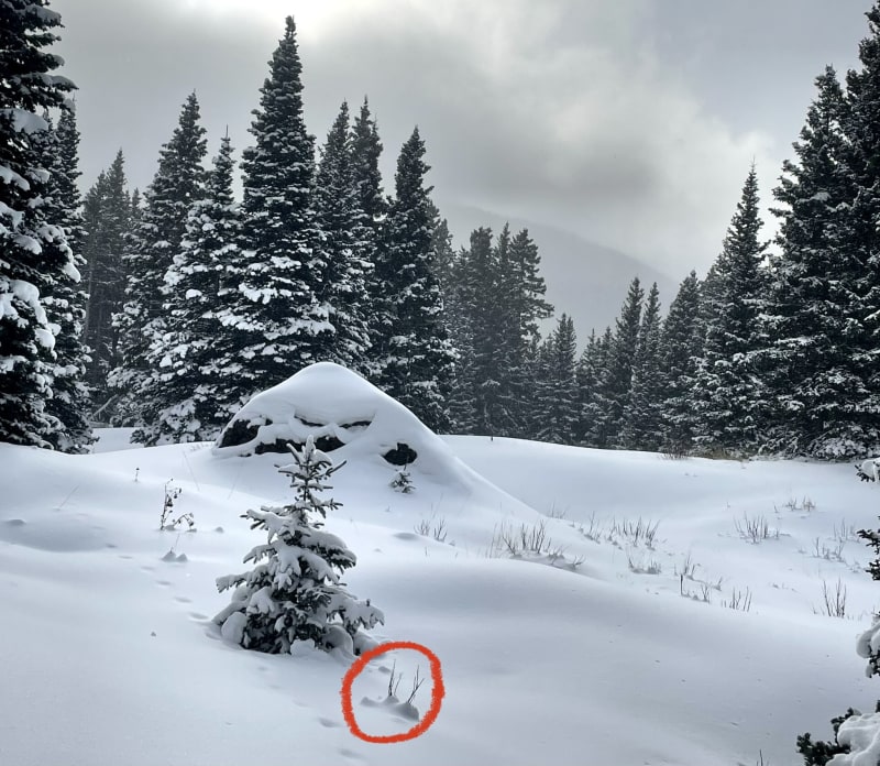 Observation photo 2