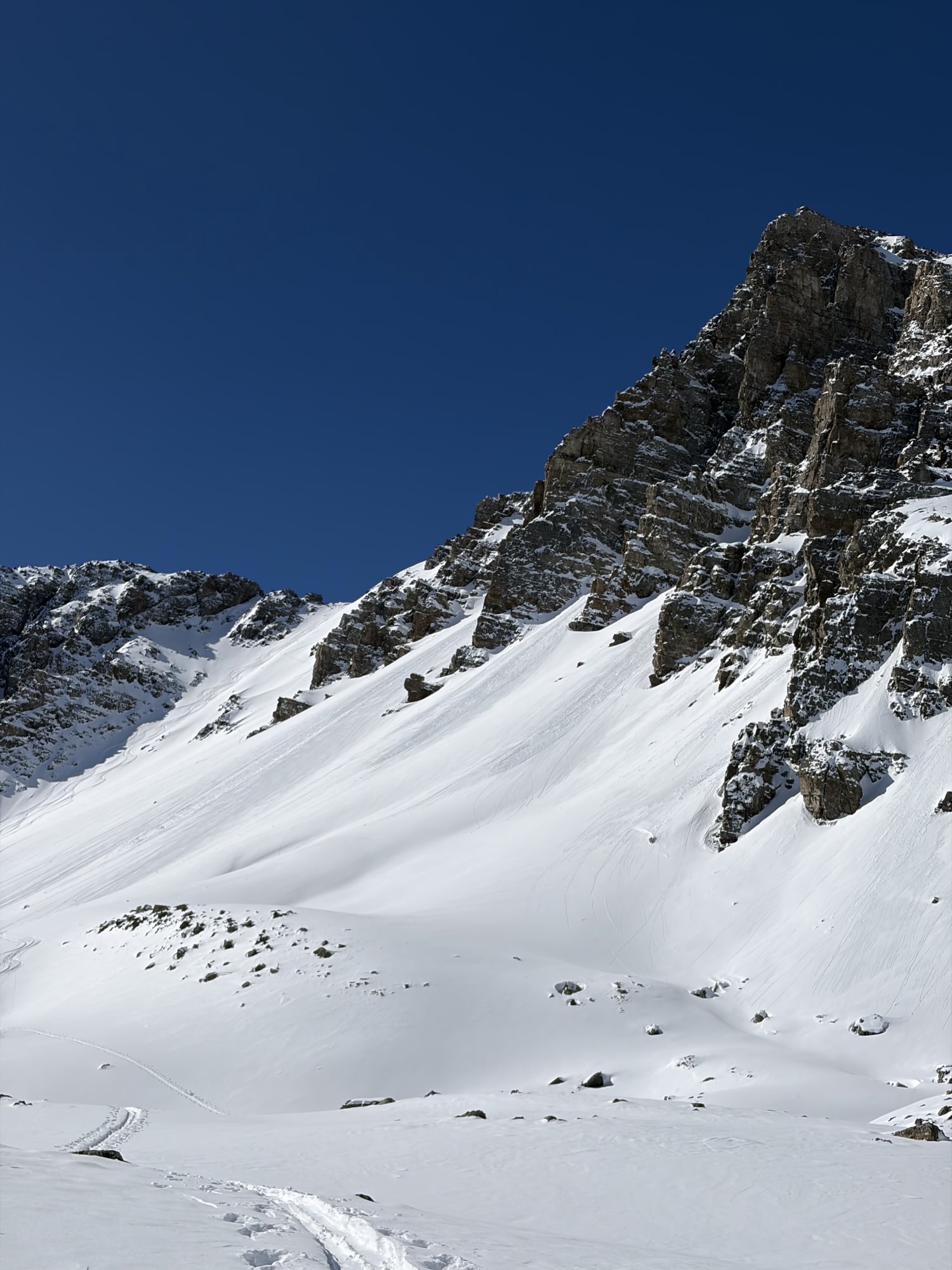 Observation photo