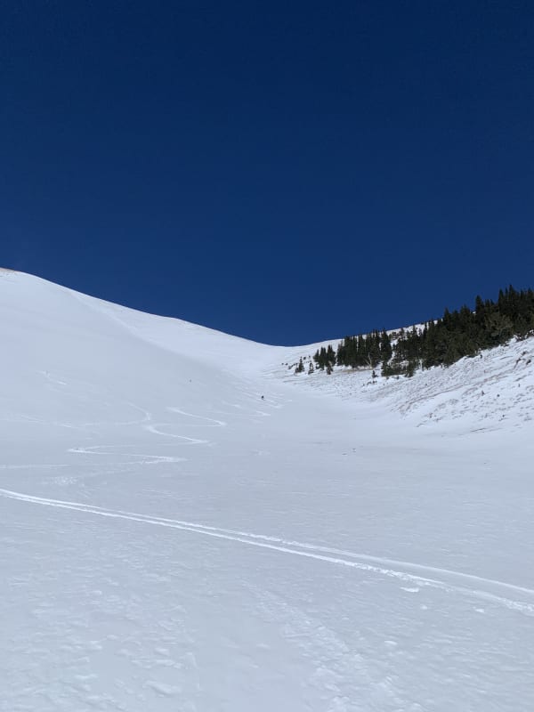 Observation photo 3