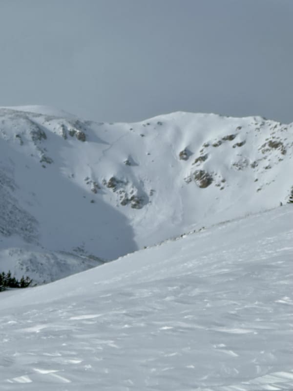Observation photo 1