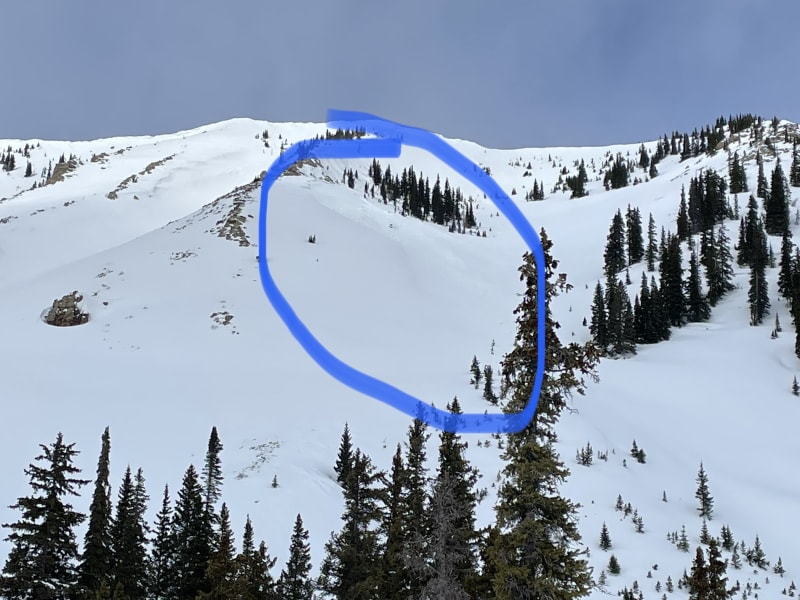 Observation photo 1