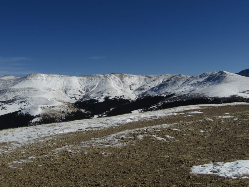 Observation photo 3