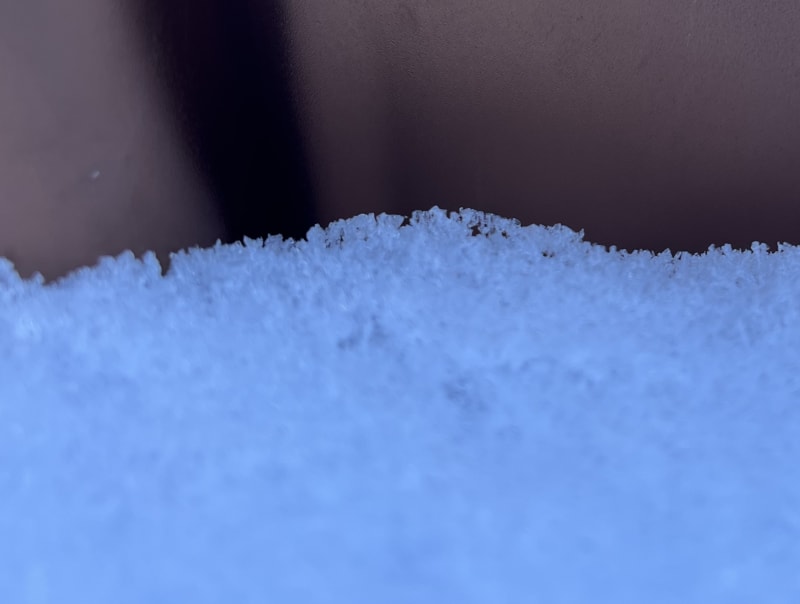 Observation photo 4