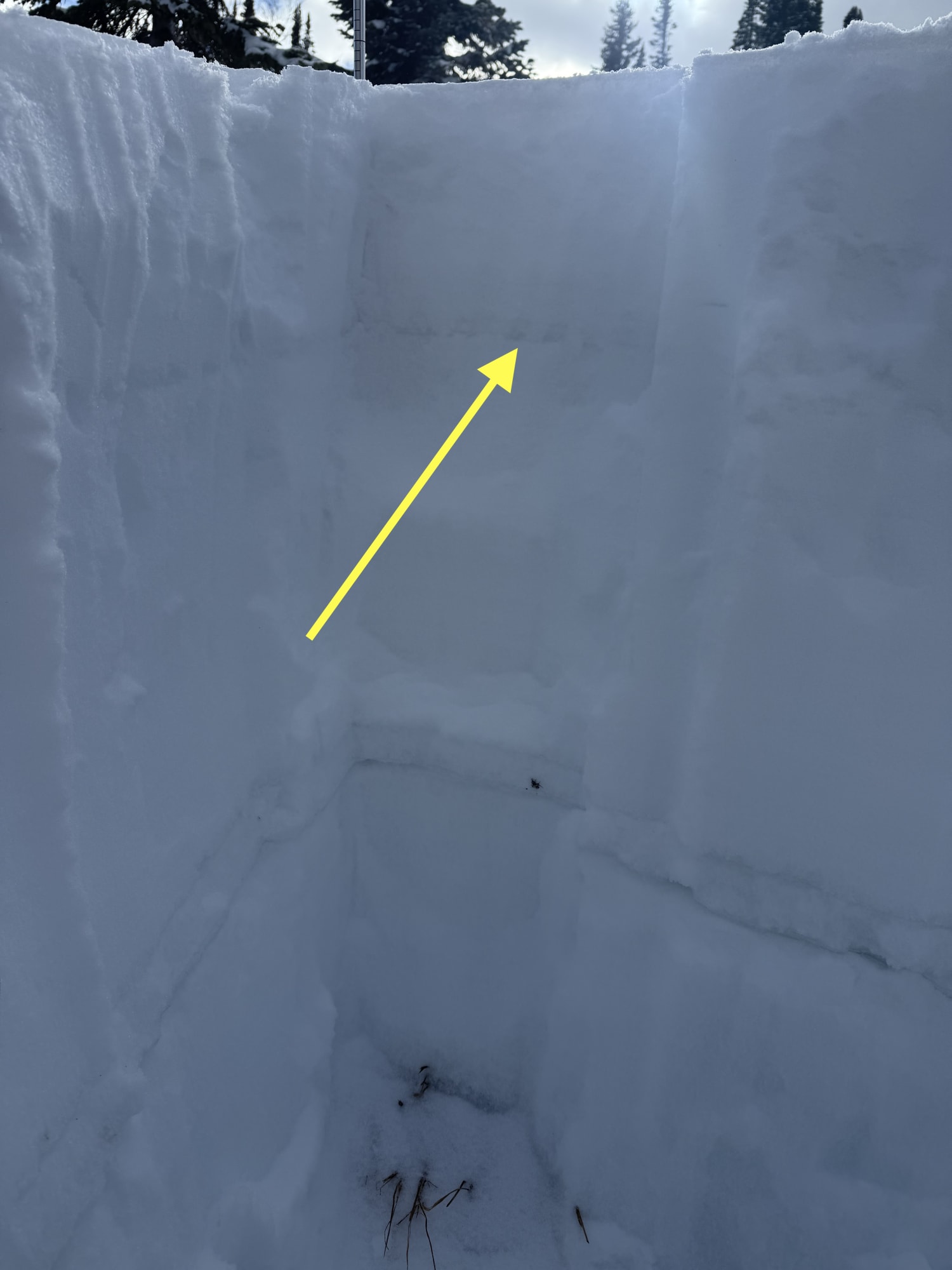 Observation photo