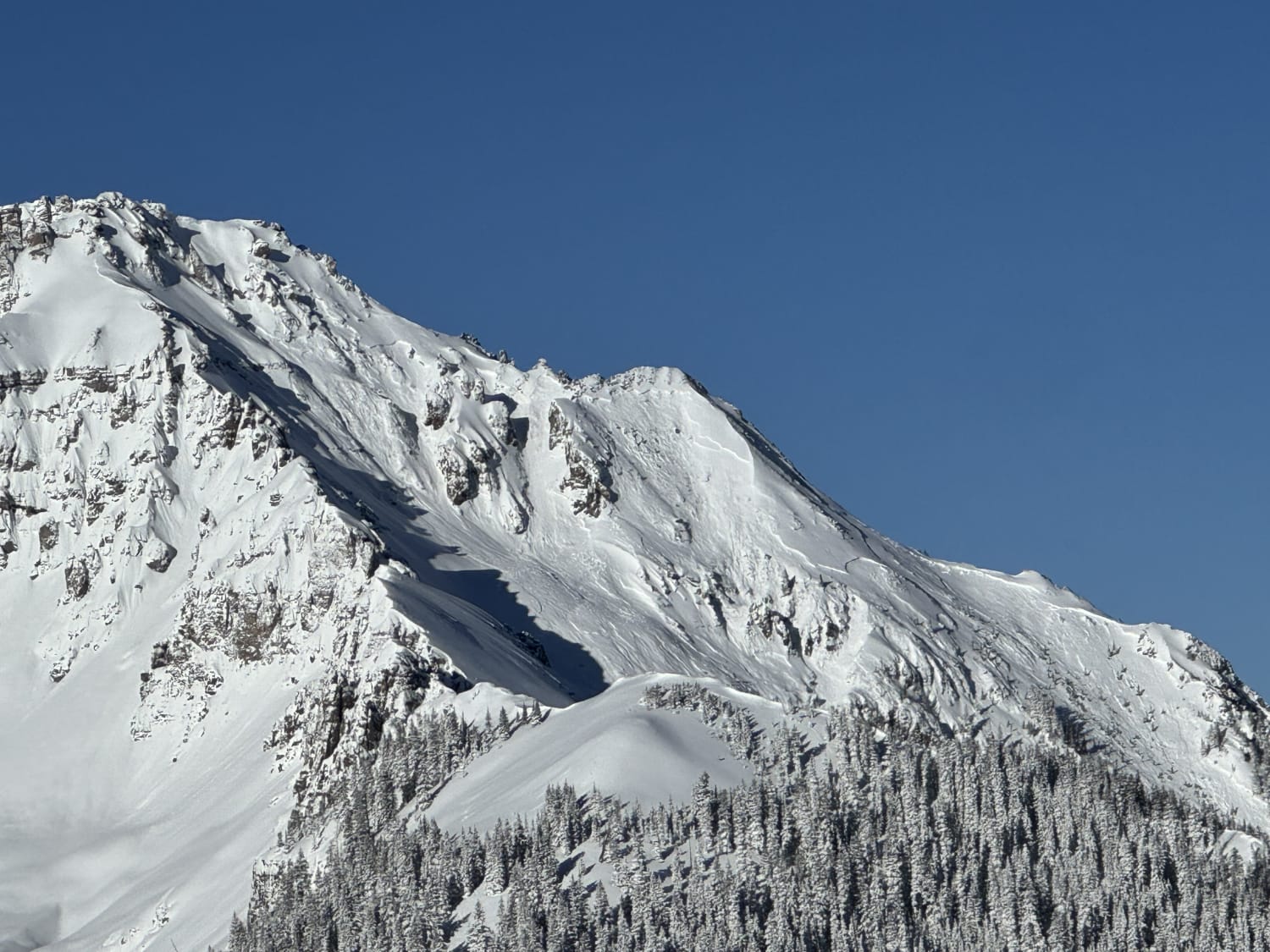 Observation photo