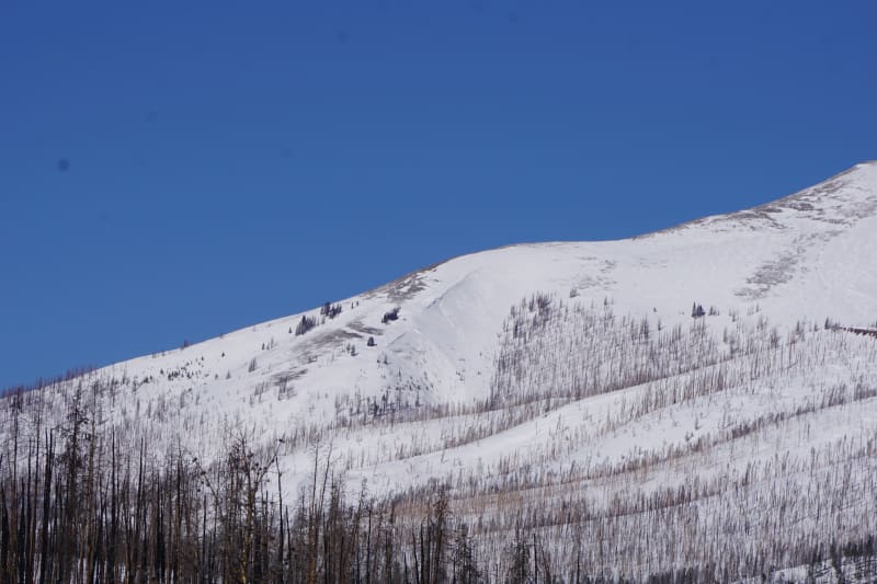 Observation photo 1