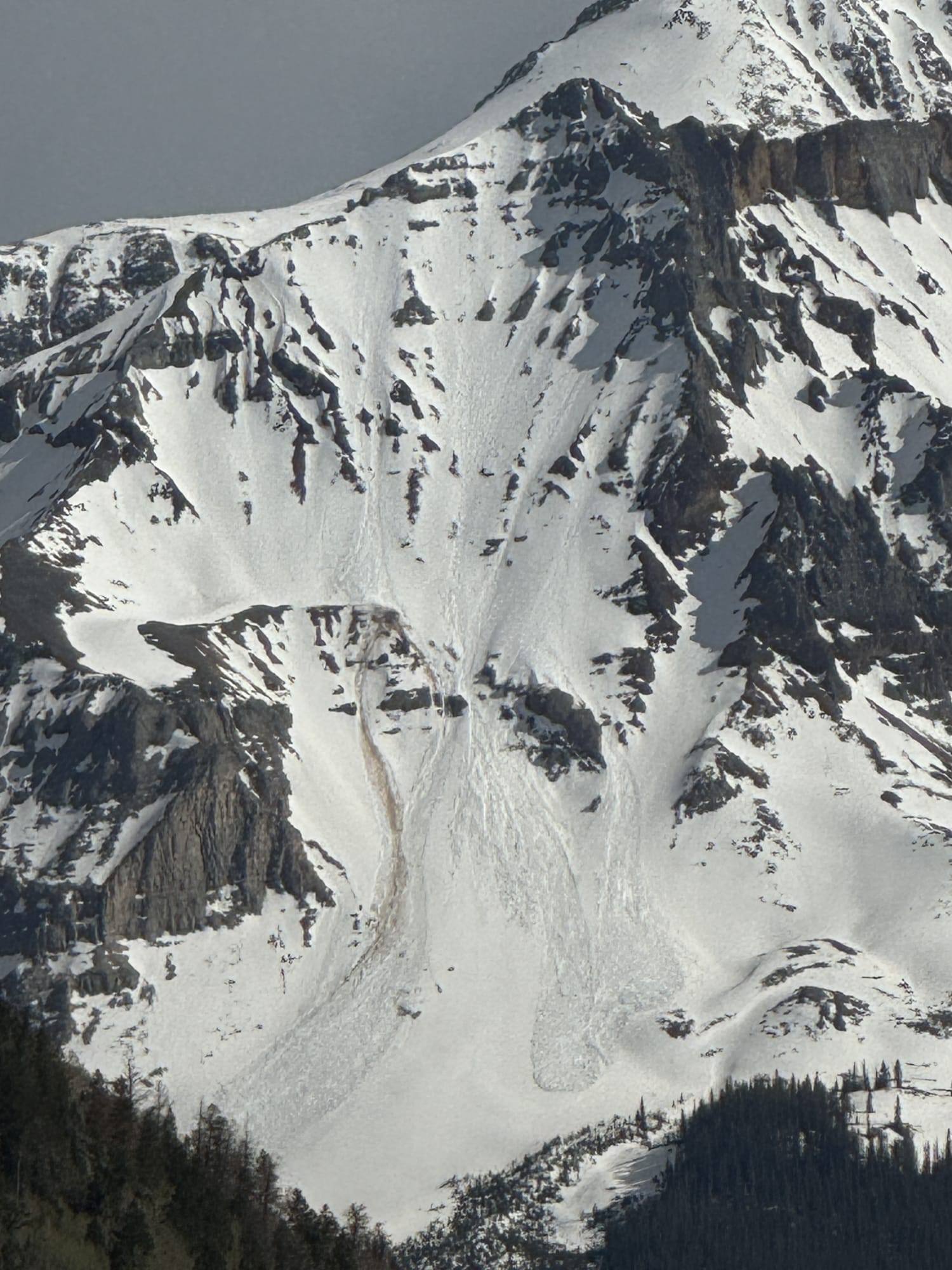 Observation photo