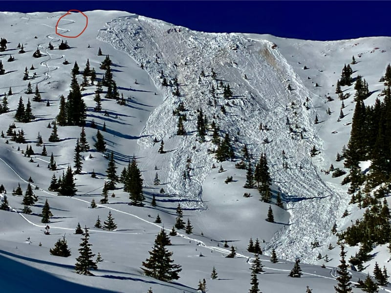 Observation photo 1