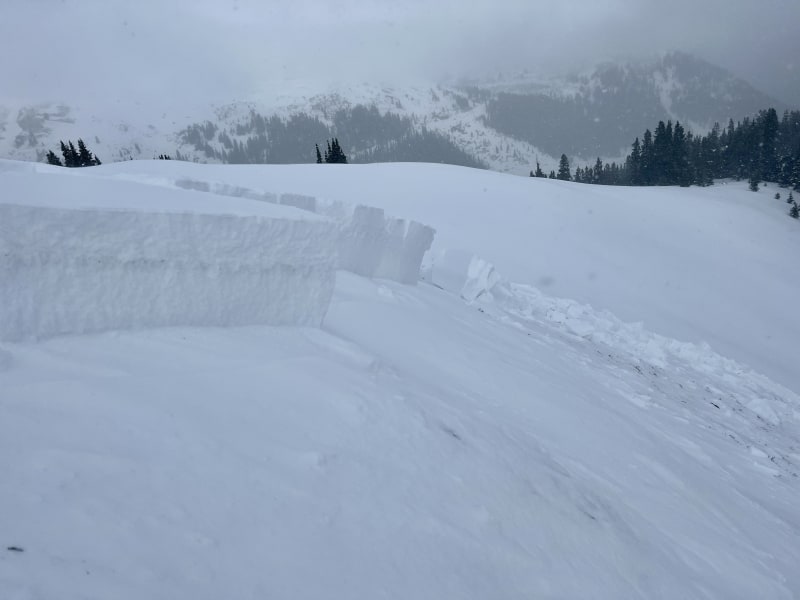 Observation photo 4