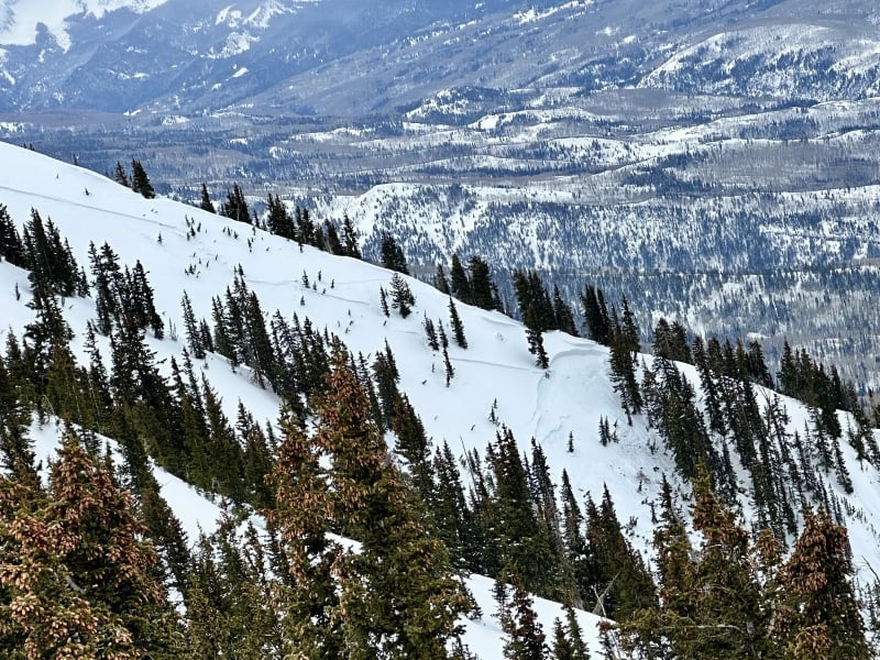 Observation photo 2
