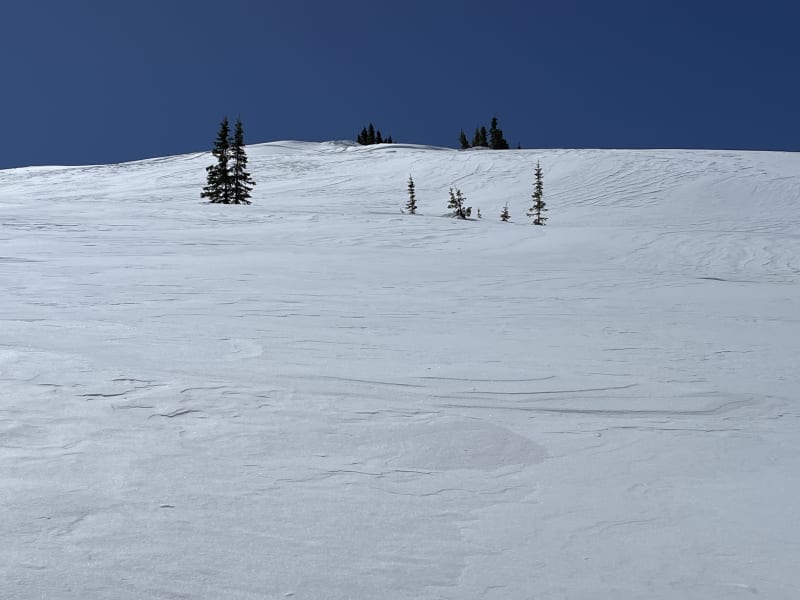 Observation photo 2