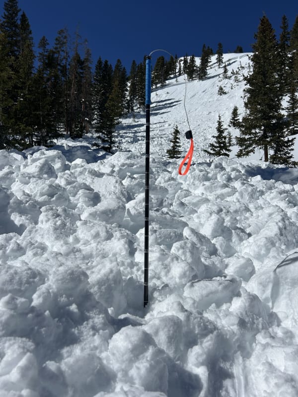 Observation photo 4