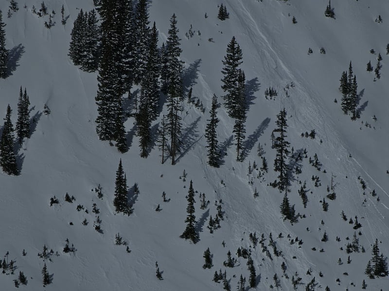 Observation photo 8