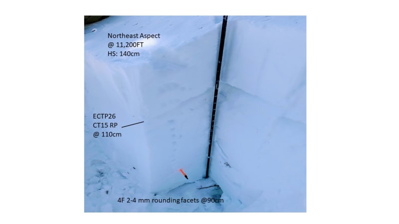 Observation photo 2