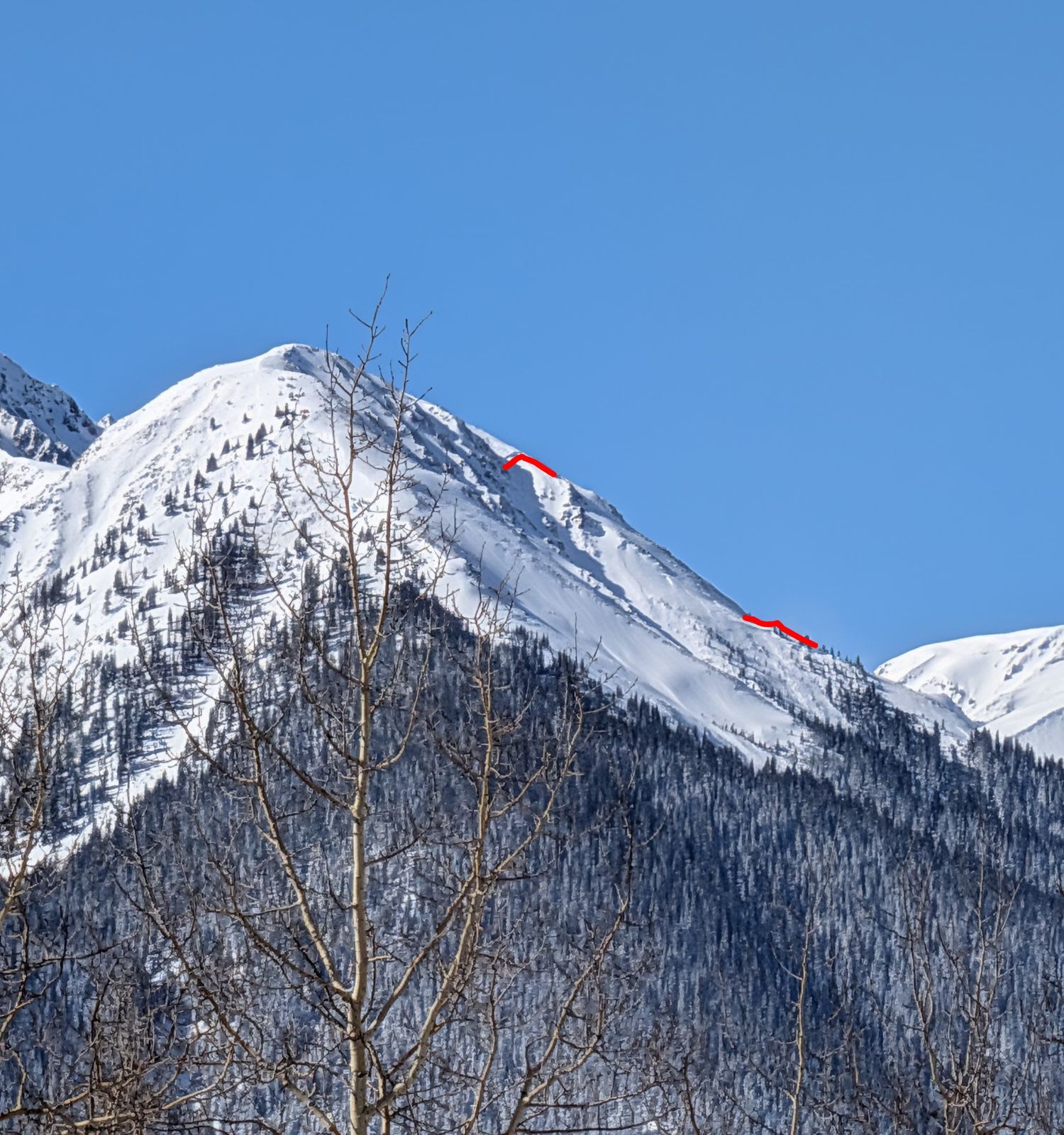Observation photo
