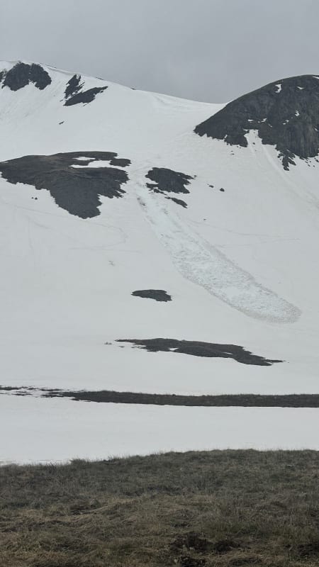 Observation photo 3