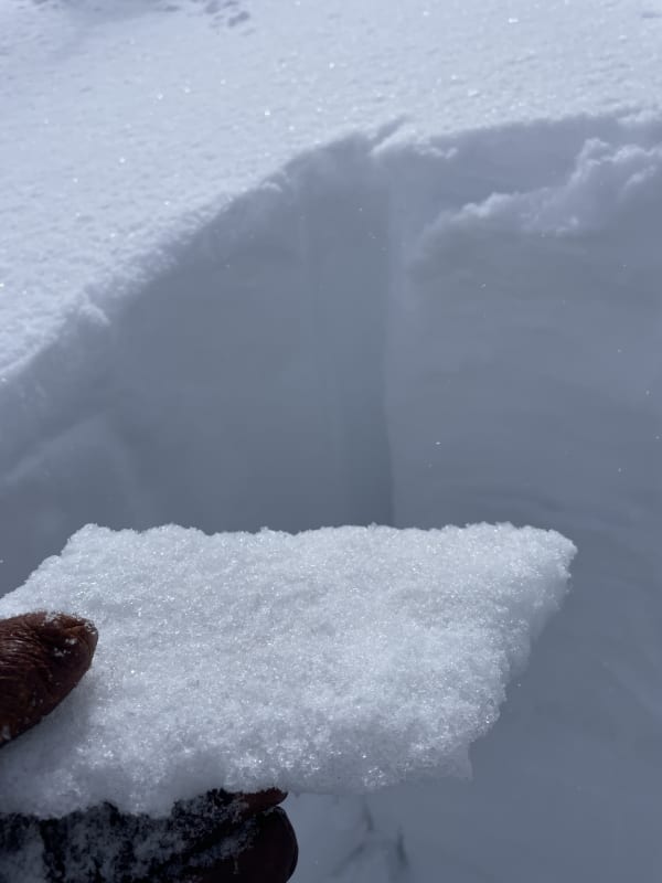 Observation photo 3