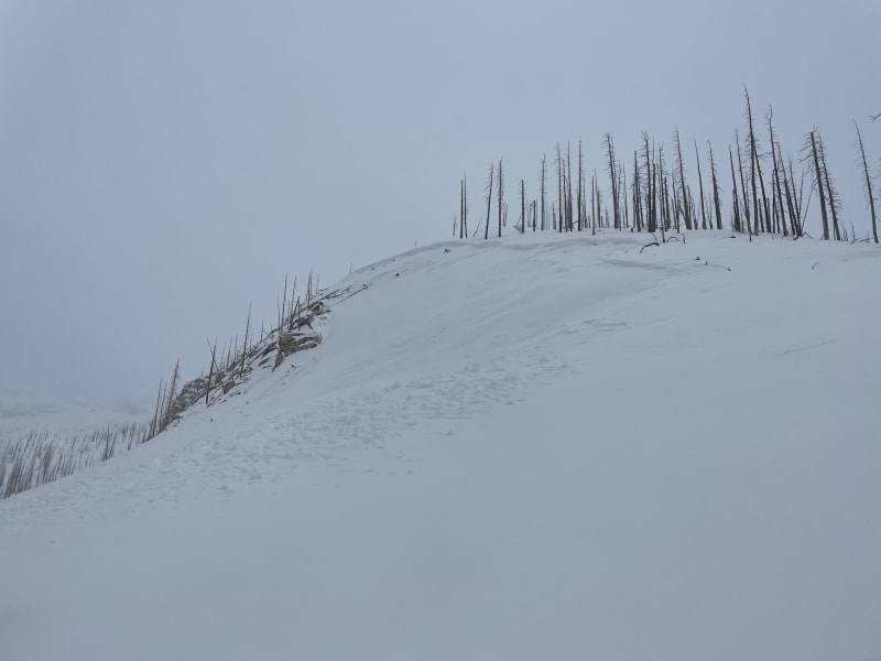 Observation photo 1