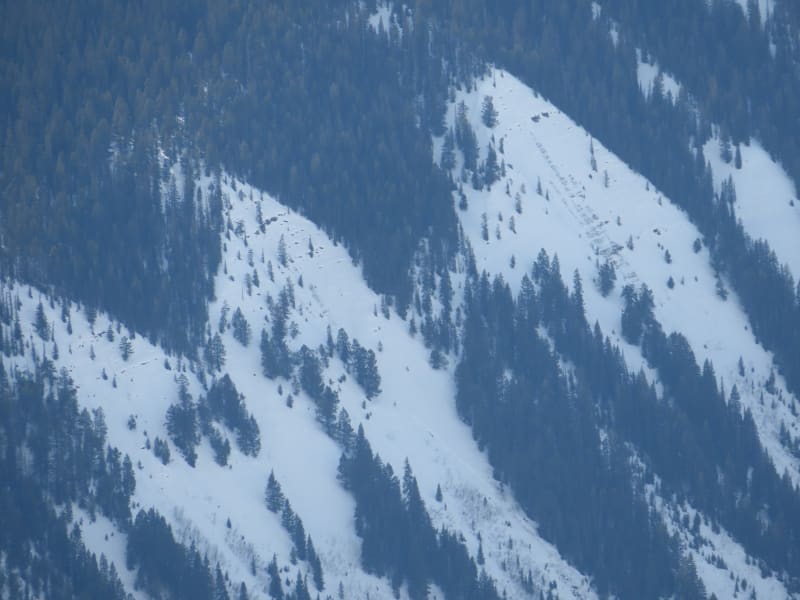Observation photo 4