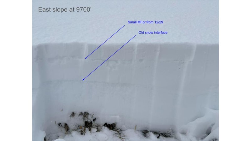 Observation photo 3