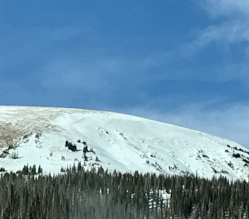 Observation photo 3