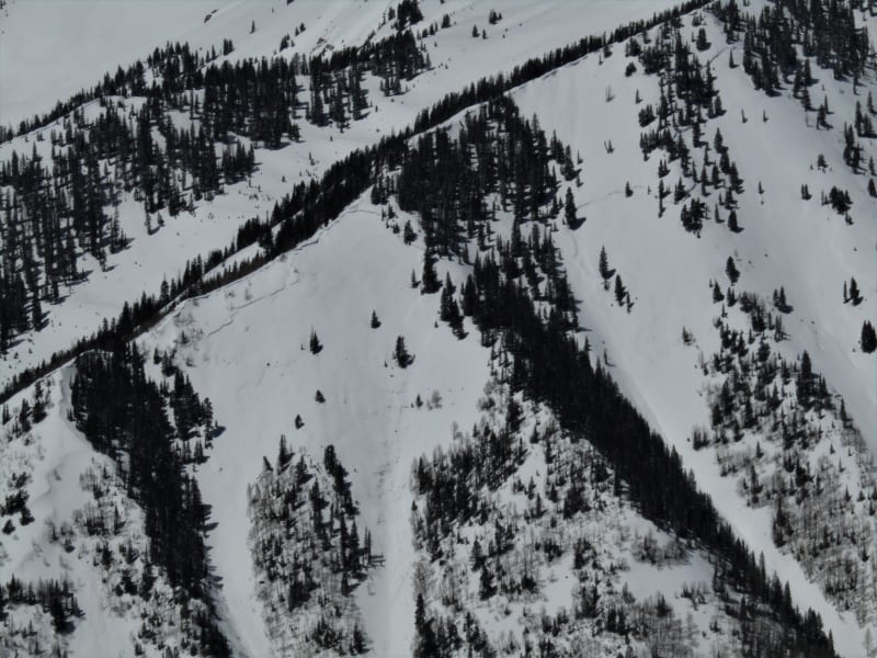 Observation photo 7