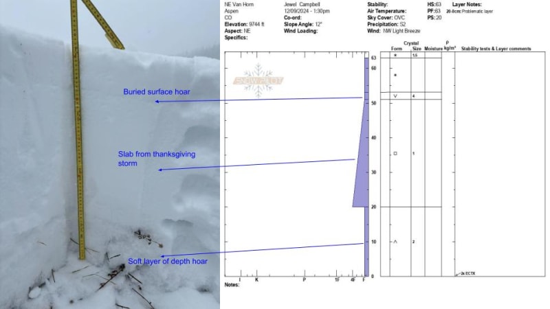 Observation photo 1