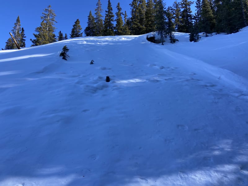 Observation photo 1