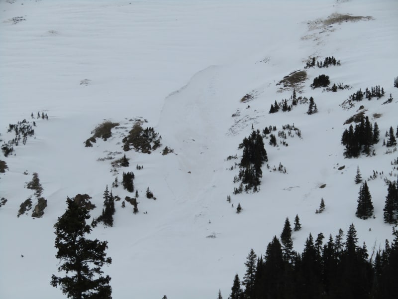 Observation photo 2