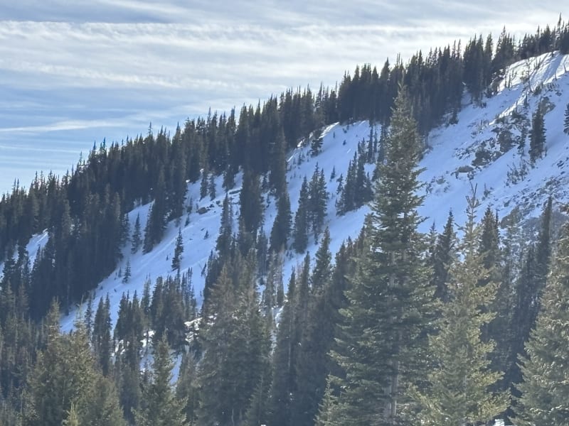 Observation photo 1
