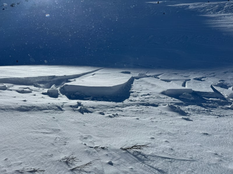 Observation photo 3