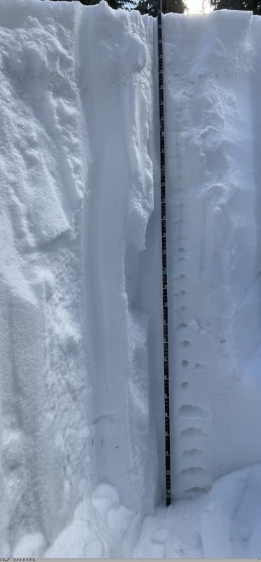 Observation photo 1