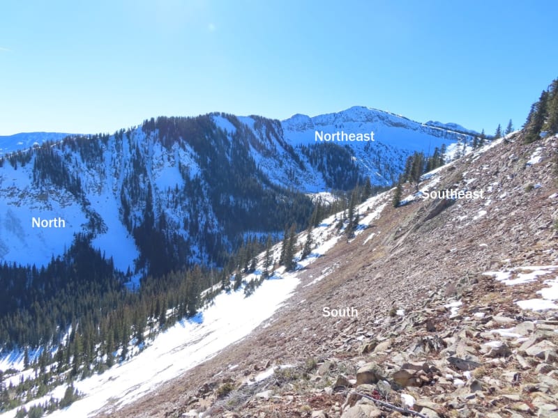 Observation photo 6