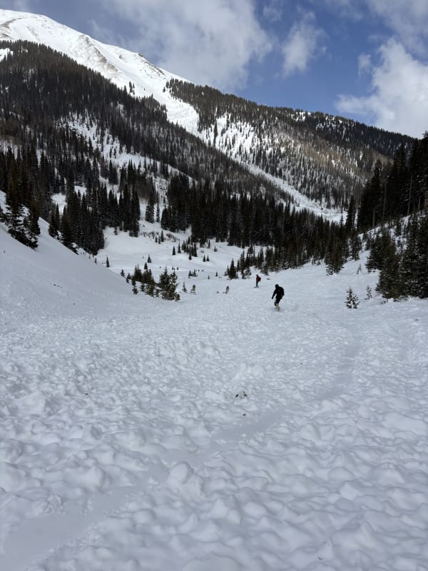 Observation photo 1