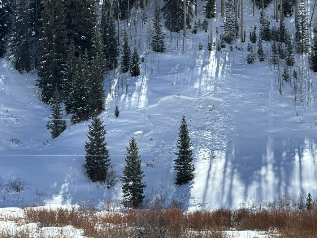 Observation photo