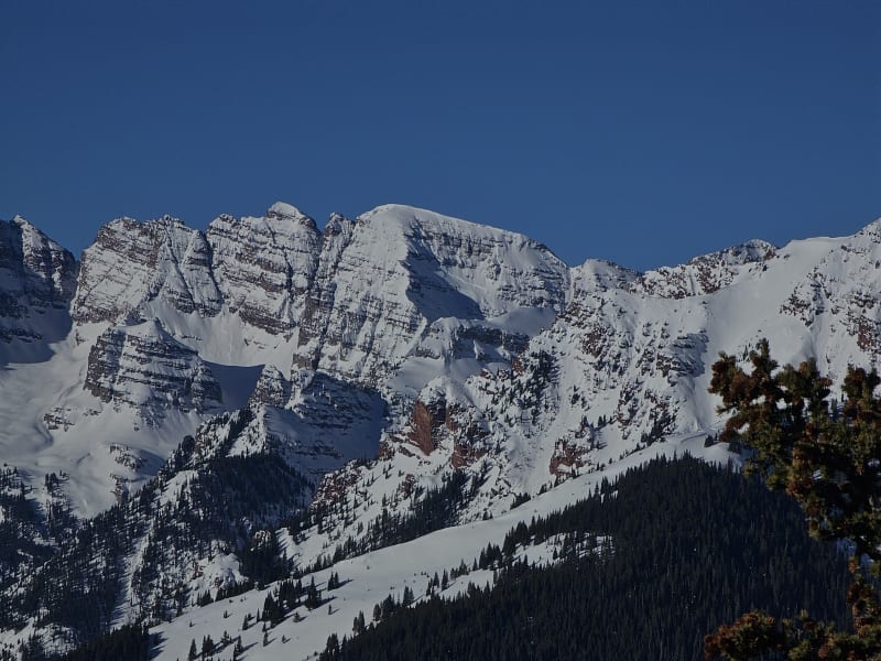 Observation photo 2