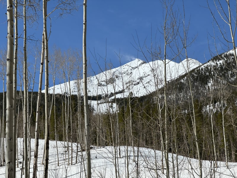 Observation photo 1