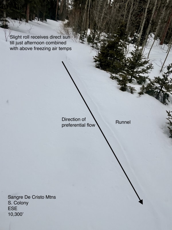 Observation photo 4