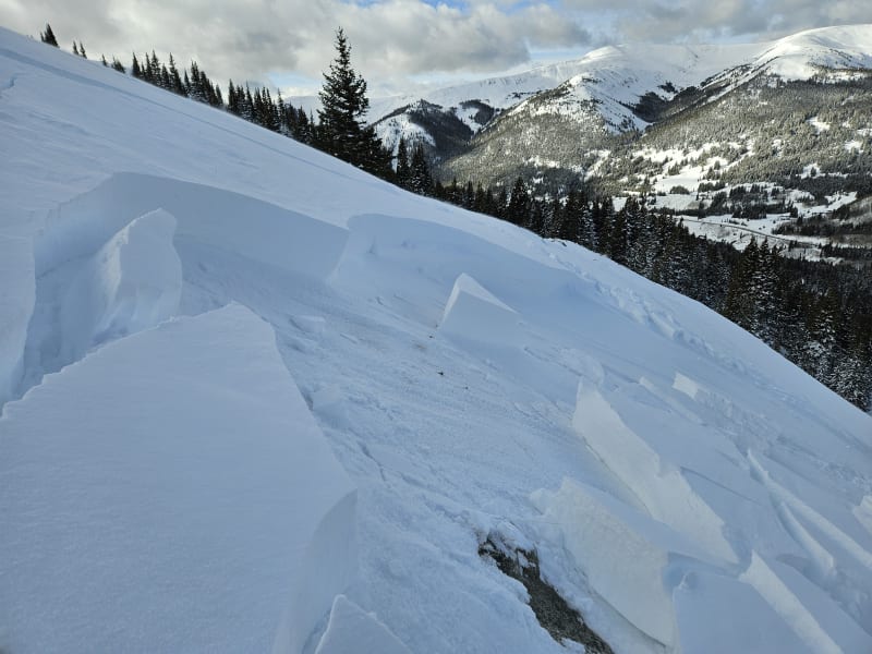 Observation photo 4