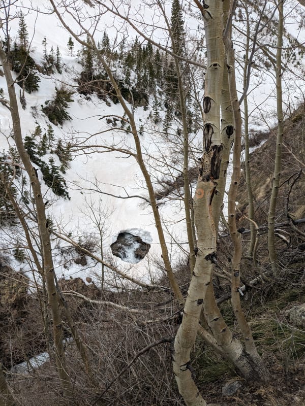 Observation photo 5
